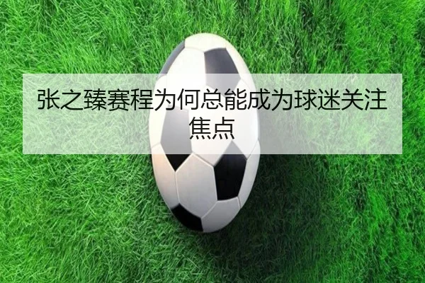 张之臻赛程为何总能成为球迷关注焦点